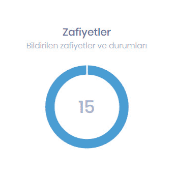 Stm Bugshield Zafiyetler