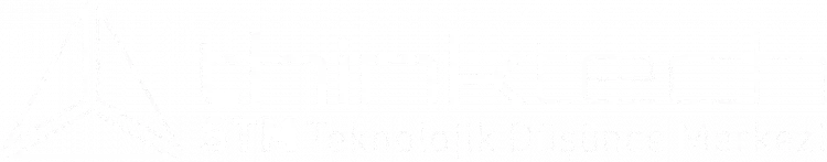 Stm Think Tech Logo W Tr
