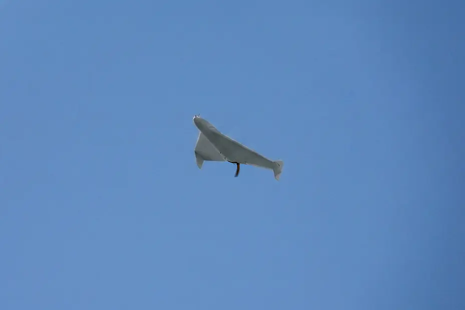Kuzgun (6)