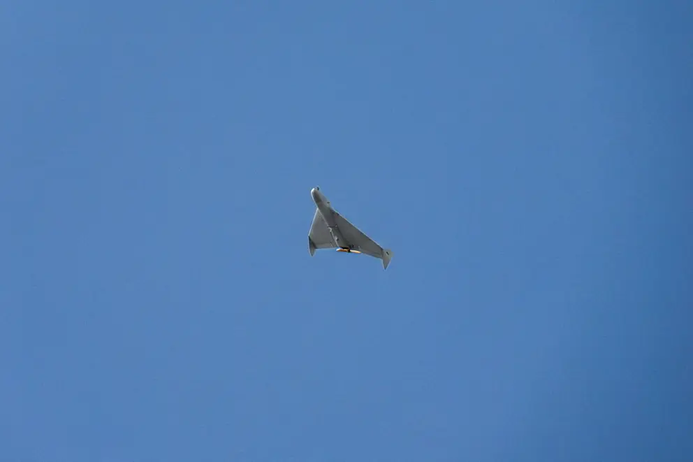 Kuzgun (5)